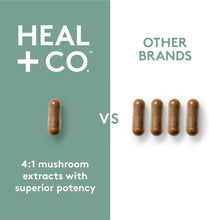 Load image into Gallery viewer, HEAL + CO. Super Mushroom Complex | Energy + Immune Support Supplement | 5 Potent Mushroom Extracts - Chaga + Lion’s Mane + Turkey Tail + Reishi + Cordyceps | 120 x 500 mg Capsules