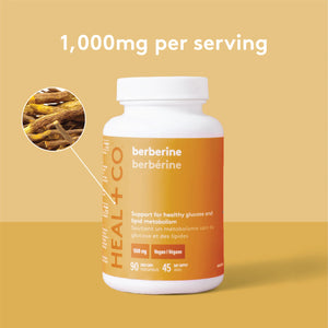 HEAL + CO. Berbérine | Supplément de glucose + métabolisme lipidique | Niveaux de sucre dans le sang sains | 90 gélules de 500 mg